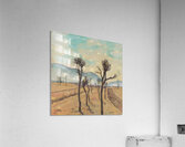 Art by Ferdinand Hodler  16 Acrylic Print