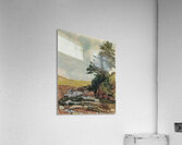 Art by Ferdinand Hodler  24 Acrylic Print