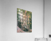 Art by Ferdinand Hodler  2 Acrylic Print