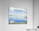 Art by Ferdinand Hodler  6 Acrylic Print