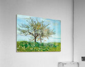 Art by Ferdinand Hodler  11 Acrylic Print