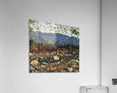 Art by Ferdinand Hodler  19 Acrylic Print