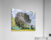 Art by Ferdinand Hodler  41 Acrylic Print