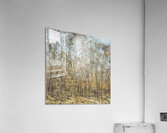 Art by Ferdinand Hodler  50 Acrylic Print