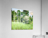 Robert Vonnoh 5 Acrylic Print