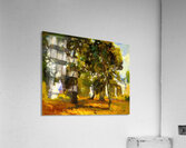 Robert Vonnoh 35 Acrylic Print