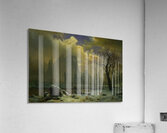 Albert Bierstadt 26 Acrylic Print