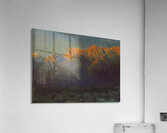 Albert Bierstadt 35 Acrylic Print