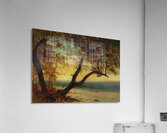 Albert Bierstadt 38 Acrylic Print