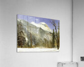 Albert Bierstadt 41 Acrylic Print