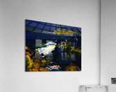 Art by George Bellows 39 Acrylic Print