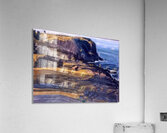 George Bellows 13 Acrylic Print