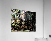 Artwork by Giacomo Balla  10 Acrylic Print