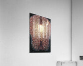 Artwork by Giacomo Balla  25 Acrylic Print