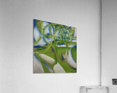 Artwork by Giacomo Balla  26 Acrylic Print