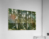 Artwork by Giacomo Balla  30 Acrylic Print