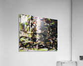 Artwork by Giacomo Balla  36 Acrylic Print