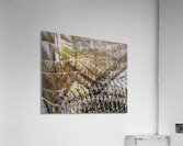 Artwork by Giacomo Balla  5 Acrylic Print