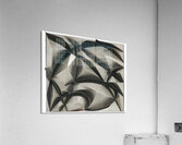 Artwork by Giacomo Balla  12 Acrylic Print