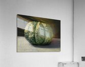 Edouard Manet  31 Acrylic Print