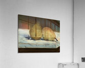 Edouard Manet  33 Acrylic Print