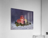 Edouard Manet  34 Acrylic Print