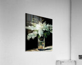 Edouard Manet  35 Acrylic Print