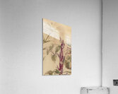 Edouard Manet  36 Acrylic Print