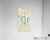 Edouard Manet  42 Acrylic Print