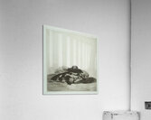 Edouard Manet  56 Acrylic Print