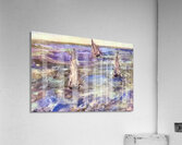 Edouard Manet  23 Acrylic Print