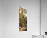 Art by Auguste Renoir 20 Acrylic Print