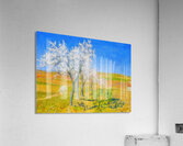 Achille Lauge Art 3 Acrylic Print