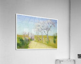 Achille Lauge Art 21 Acrylic Print