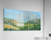 Achille Lauge Art 24 Acrylic Print