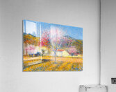 Achille Lauge Art 26 Acrylic Print