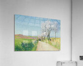 Achille Lauge Art 29 Acrylic Print