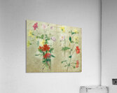 Achille Lauge Art 48 Acrylic Print