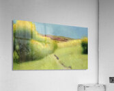 Achille Lauge Art 6 Acrylic Print