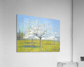 Achille Lauge Art 11 Impression acrylique