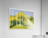 Achille Lauge Art 18 Acrylic Print