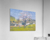 Achille Lauge Art 38 Acrylic Print