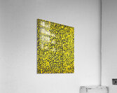 Alma Thomas 43 Acrylic Print