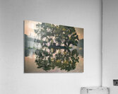 Albert Marquet  46 Acrylic Print