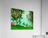 Albert Marquet  6 Acrylic Print