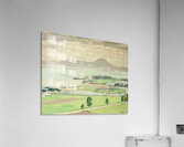 Albert Marquet  24 Acrylic Print