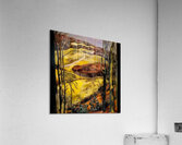 Paul Nash 18 Acrylic Print