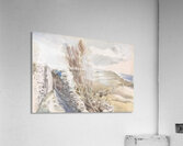 Paul Nash 58 Acrylic Print