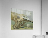 Paul Nash 67 Acrylic Print