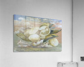 Paul Nash 5 Acrylic Print